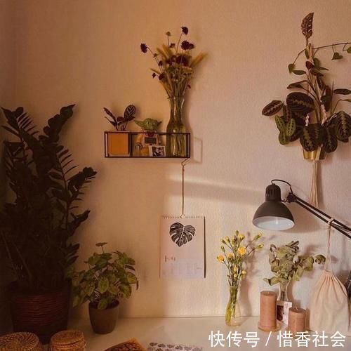 布置|德国夫妇的家,女主人把家布置复古又舒适,很有老电影里的味道!