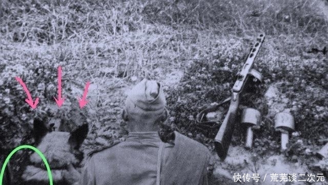 雨天|历史上过目难忘瞬间：雨天偷牛的日军，给德国战俘发烟的红军，图9杀人诛心