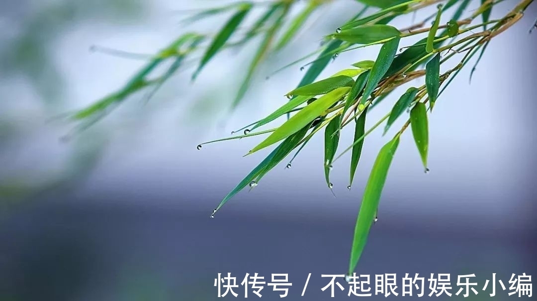 苏轼|苏轼最著名的一首《定风波》,全篇都是名句,读懂就是明白了人生