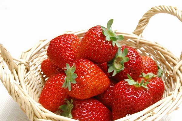 一样是草莓,遇到以下4种,白送也不能要,果农从不让自家人吃!