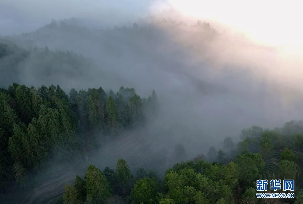宋为伟|奋斗百年路 启航新征程·神州巡礼·图文互动丨福建：念好高质量发展的“山海经”