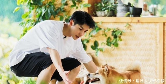 《向往5》录制在即，全员回归、新人加盟！却没有最受欢迎的他