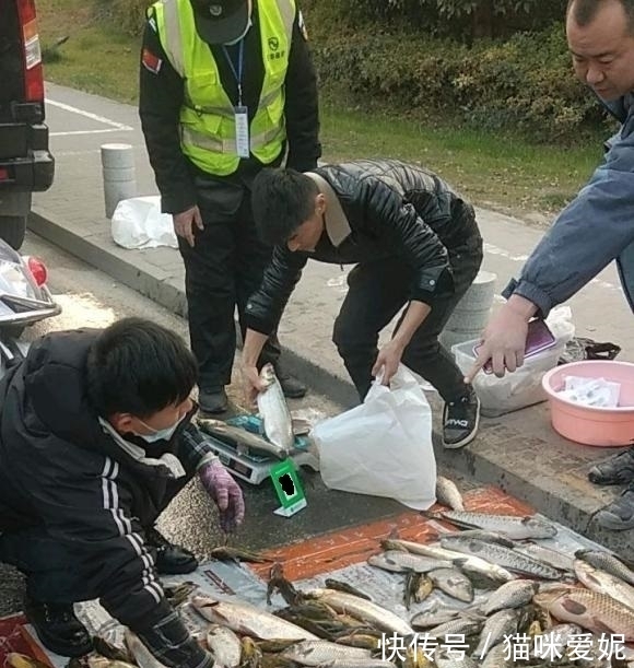 深圳2钓鱼人当街卖鱼,大小不论统统15元,网友:怎么不像是钓的