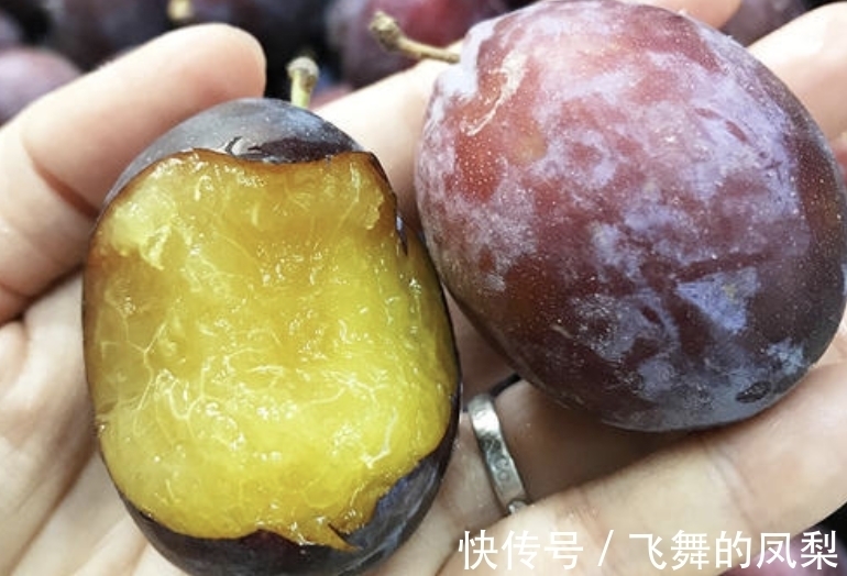 1种“无中生有”的绿植，曾引起争论，不知从什么地方来，有价值