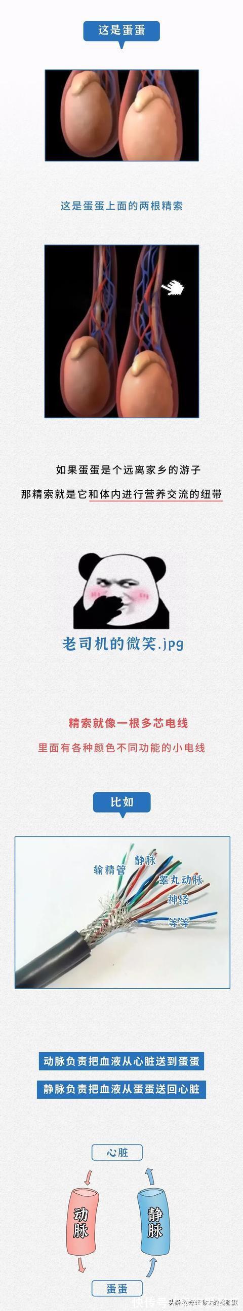 朋友|建议男生都替自己朋友看看,有没有这种男科疾病