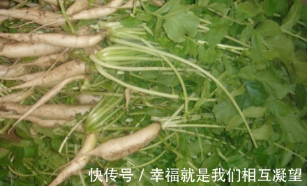 防癌|在农村都没人吃,地里一抓一大把,常吃能防癌、防近视