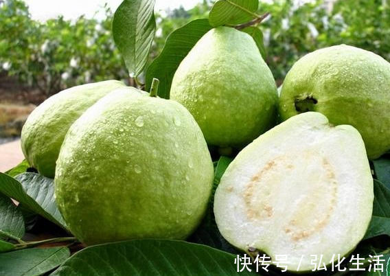 抵抗力|人到中年想长寿，不妨坚持吃4种食物，增强抵抗力，身体更健康