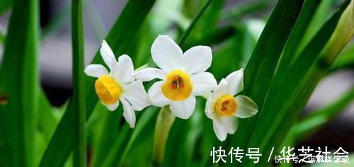 旺夫旺|出生在几点钟的孩子,是才子佳人,从小就优秀到大,是人中龙凤