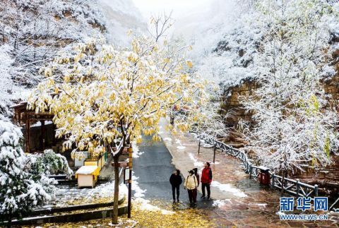 区观赏雪|雪落太行