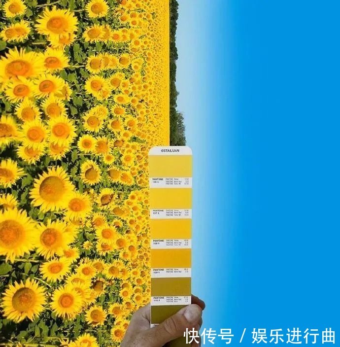 参考|配色参考|INS博主超有趣的自然高级配色!插画设计存起来!