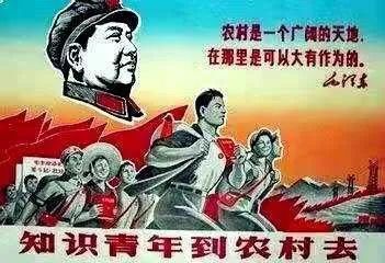  回乡|土左旗“回乡知青”的酸甜苦辣