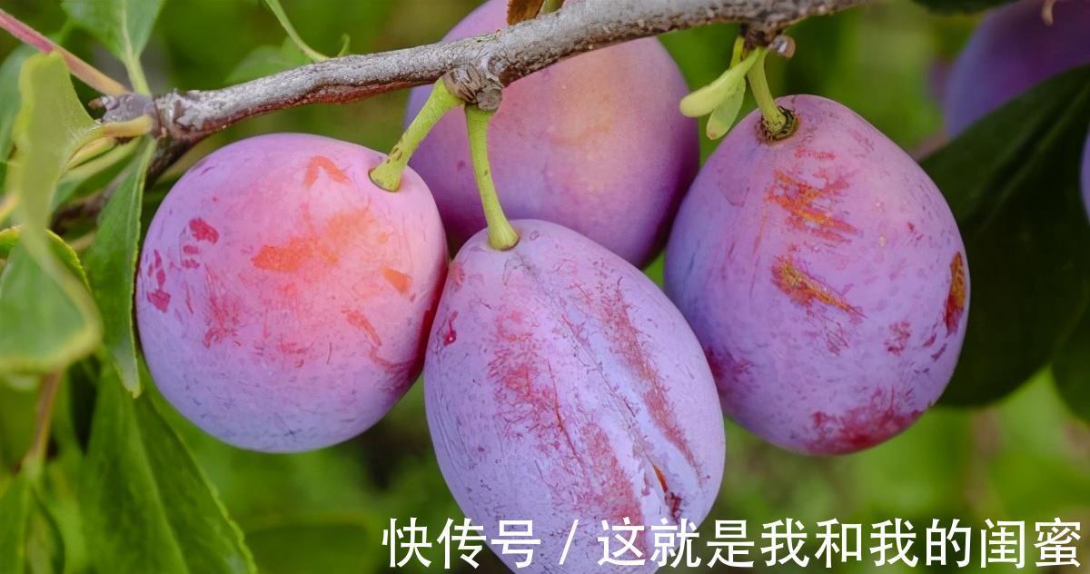 滋补身体|很有营养的3种食物,值得天天吃一些,淡化皱纹、滋补身体!