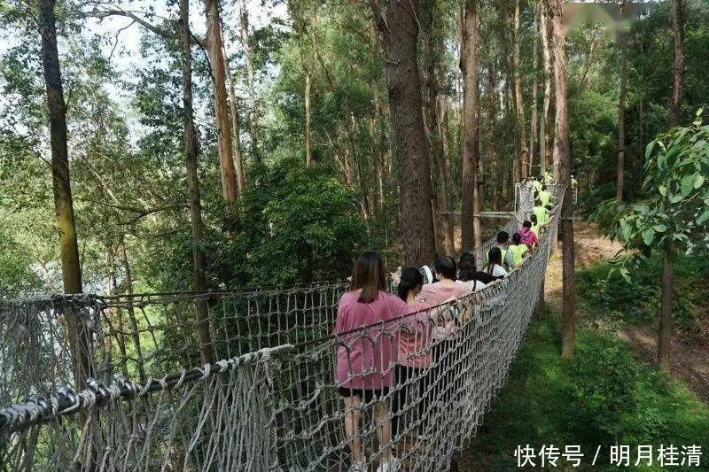 亲子大作战飞越丛林、默契考验……桥南街萌娃和父母户外拓展,尽享天伦之乐