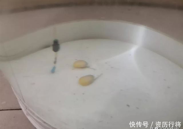 调漂测钩重是故弄玄虚?别被带偏了,告诉你为什么要测钩重