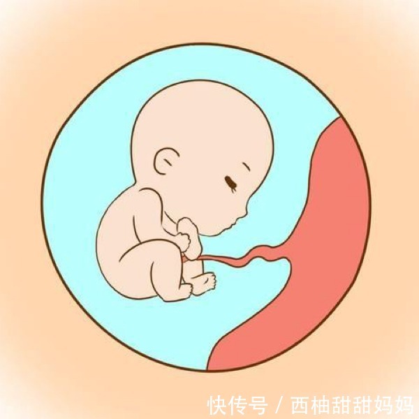 身体不适|怀孕后,同房和没同房生出来的宝宝有什么