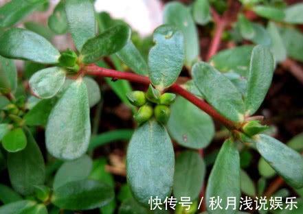 外痔|痔疮反复发作太难受?教你几招,消炎止痛,帮你远离痔疮困扰