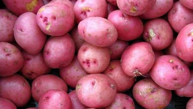 芋头|长得像红薯,吃起来像芋头,只卖3元一斤,吃一次就爱上它