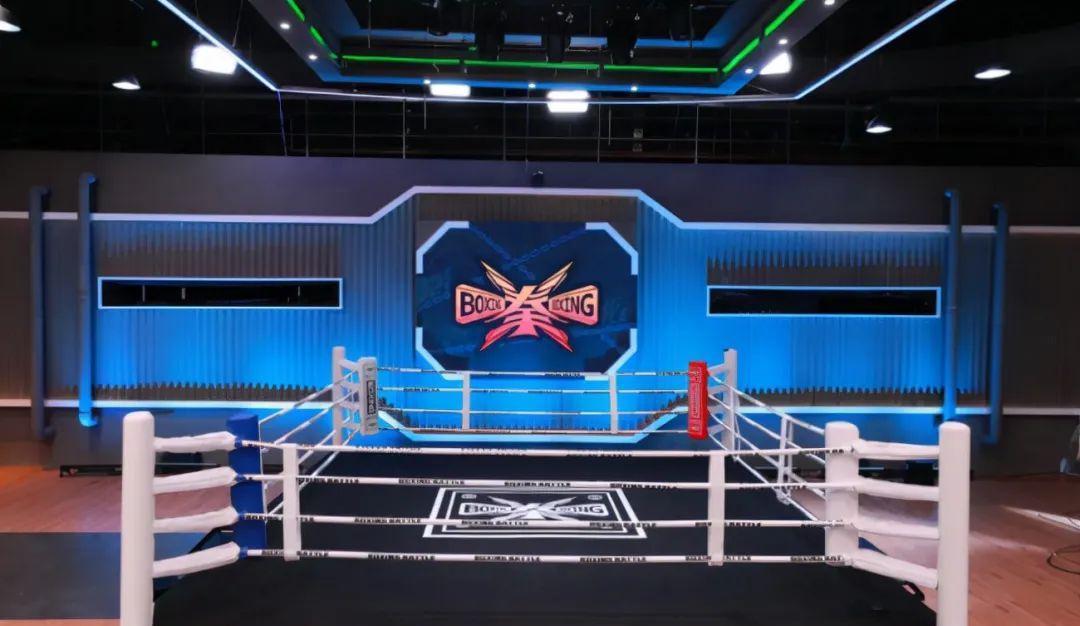 黄龄被打哭,张大大被打飞?这部“拳拳到肉”的综艺太好看了