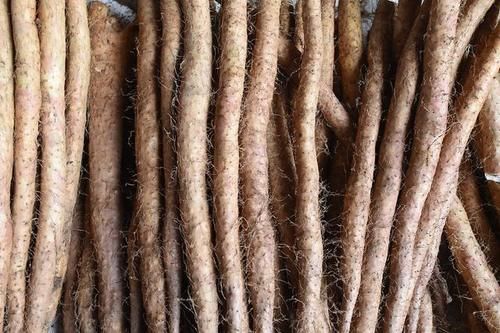 苹果和“它”是绝配，锅里蒸一蒸，好处显而易见，好吃又健康