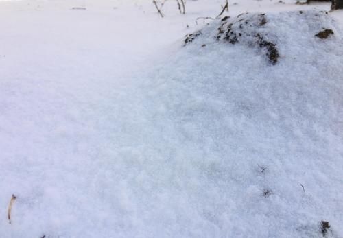 中年|正月初六,威海的雪:粉妆玉砌,银装素裹