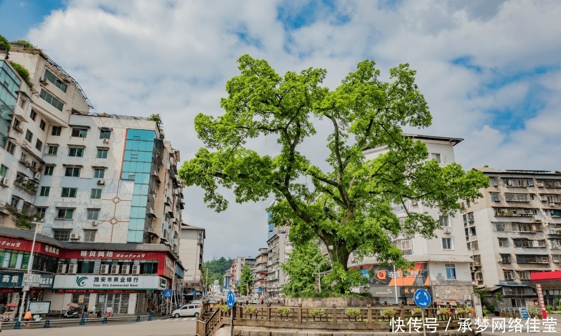 蒙顶山|中国一座“最爱哭泣”的城市，夏天只有23度，适合假日避暑游