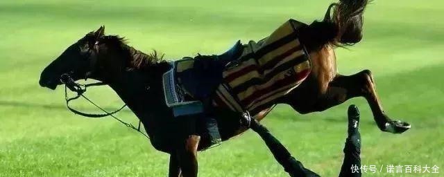 独有|刮骨疗伤这档子事 并非关二爷一人独有!