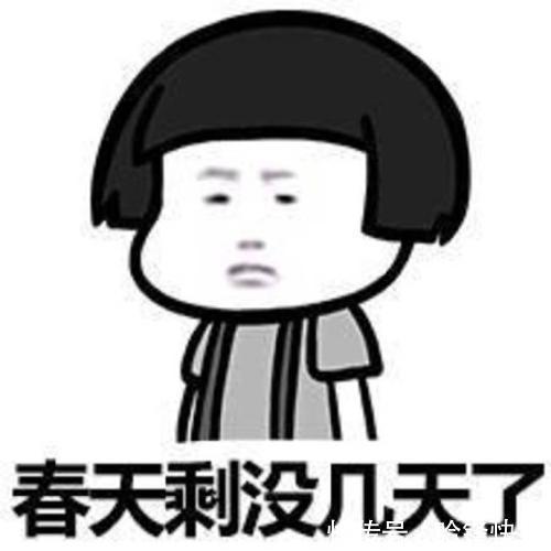 |幽默笑话我嫂子是个过日子的人,砍价特别厉害