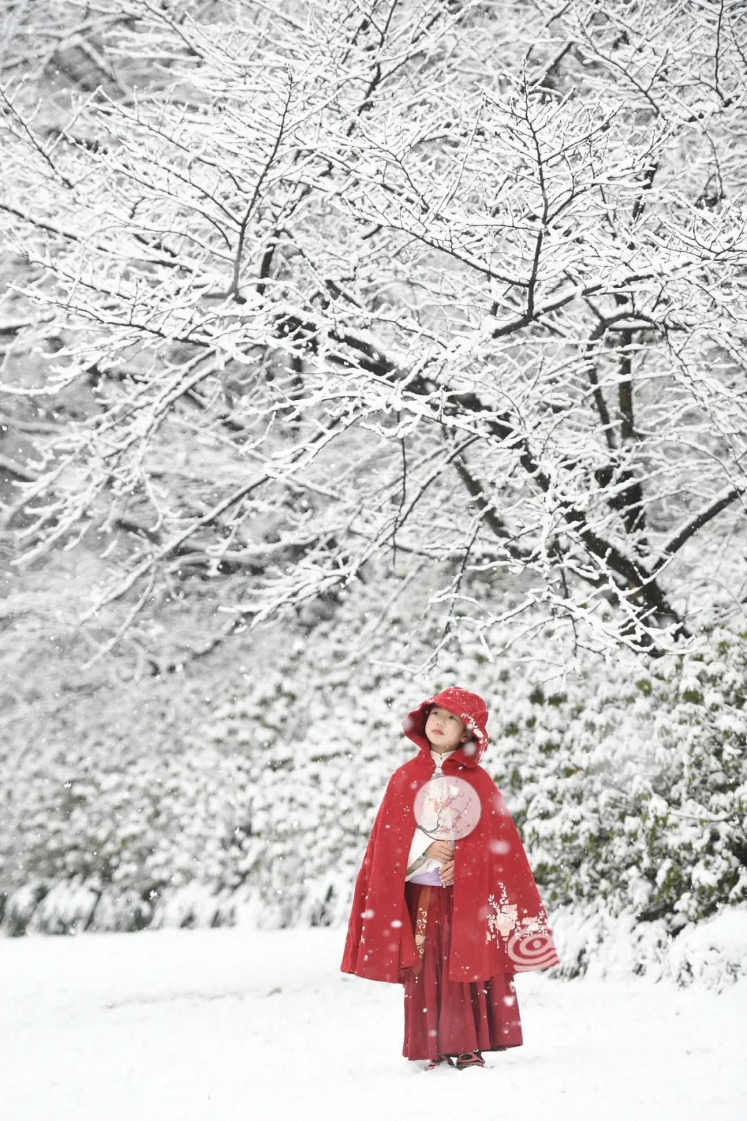 冰雪|今天刷屏的鹅毛大雪十年未见？明早起来能看到冰雪杭城吗？气象台回应