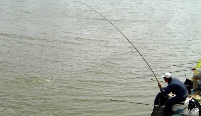 钓鱼时常用的酒米，竟被人用得“出神入化”，连杆爆护不是问题！