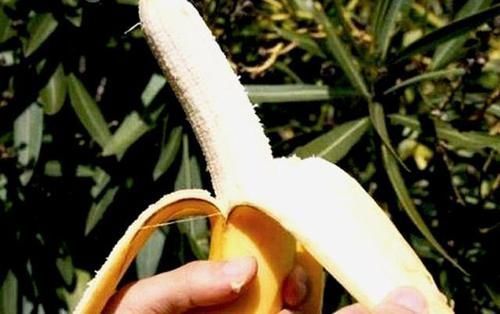 新鲜|为何香蕉在超市那么新鲜,买回家后没2天就发黑变烂?原因很简单