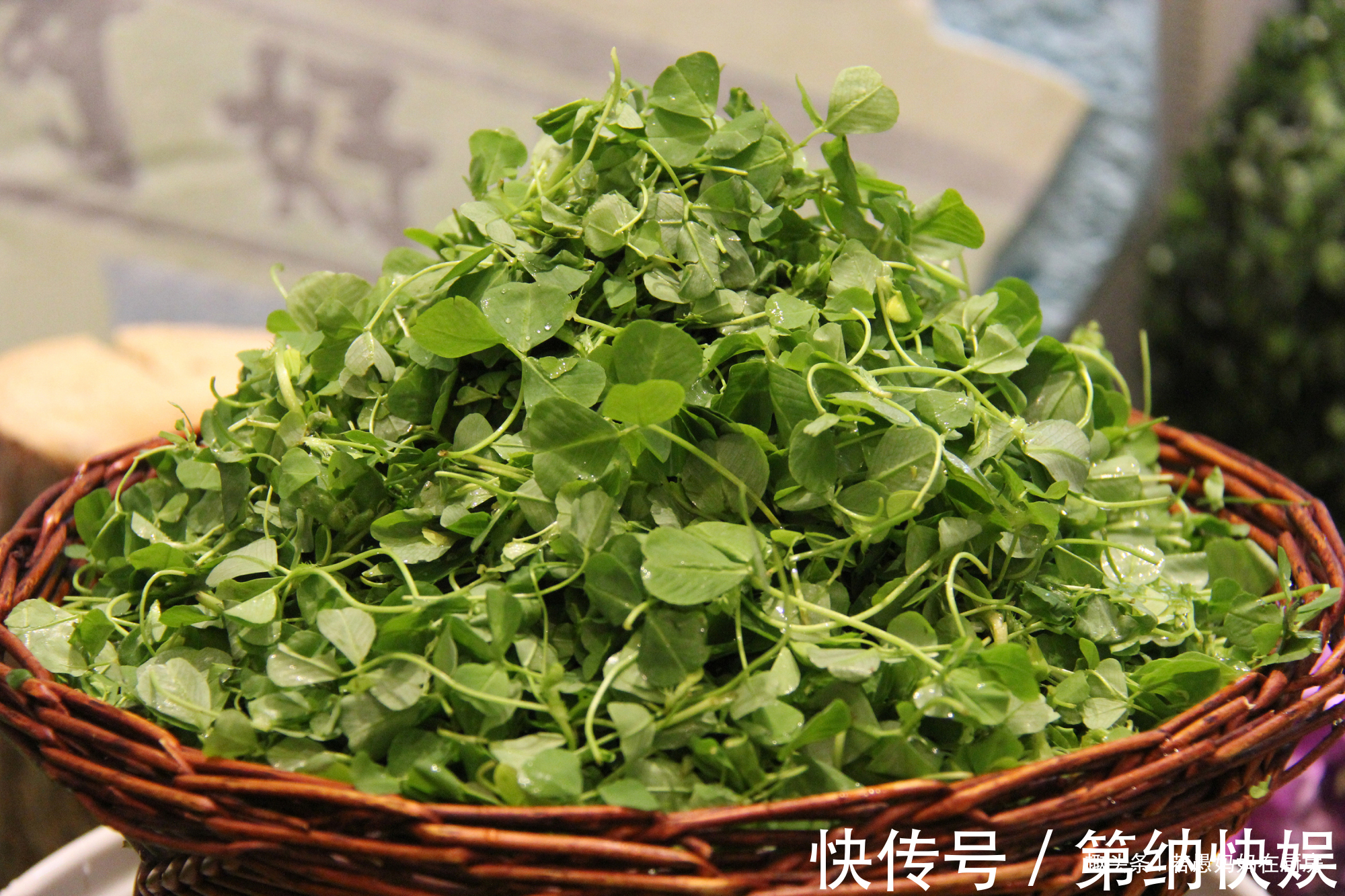 美味|春季必吃的8种野菜,鲜嫩美味有营养,错过又得等一年