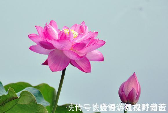 一身正气#真正有本事的人,为人处事时都有以下几个特点,值得交往