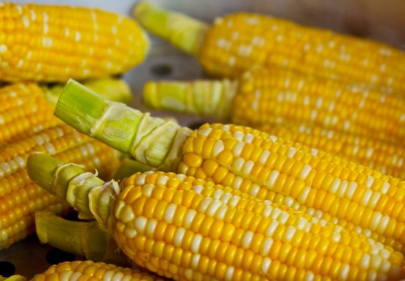 玉米|聪明人如此吃玉米,抗癌防癌、消除饥饿感,让你吃着吃着就瘦了!