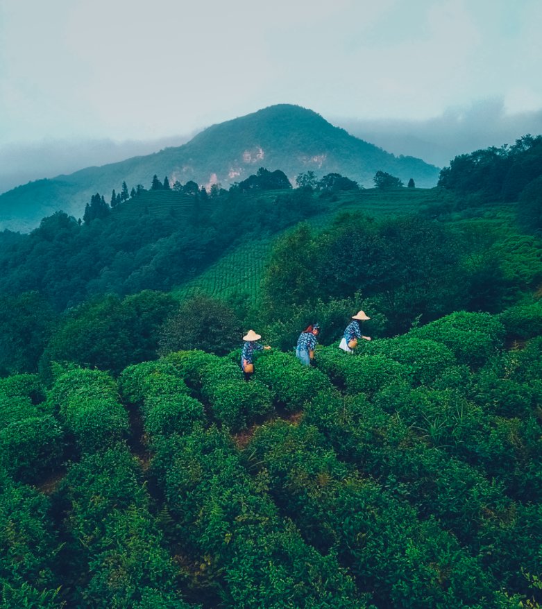 来雅安吧，山川湖海给你，日月星辰也给你~