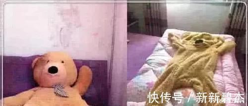 商家|哈哈哈哈这个真的是太“鬼畜”了，商家是让穿在身上么