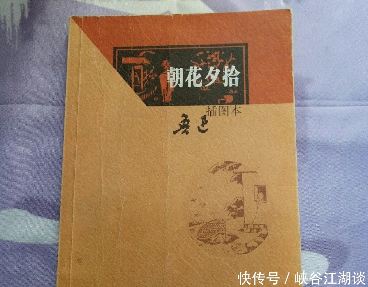 仰慕过丰碑并从丰碑下走过的少年,差不了,中学生不能不读鲁迅