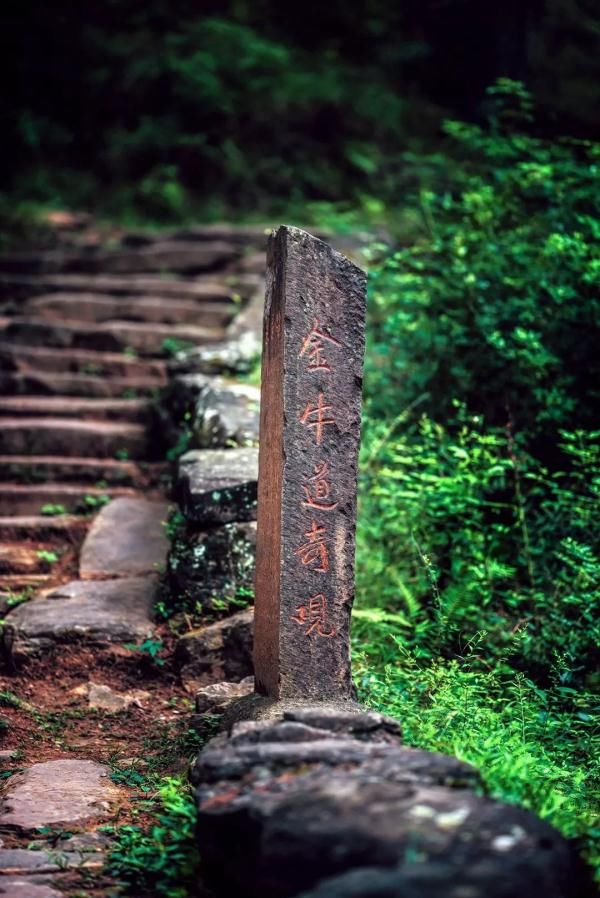 雪景|就在广元过年！这些春节旅游新玩法，给你安排得明明白白！