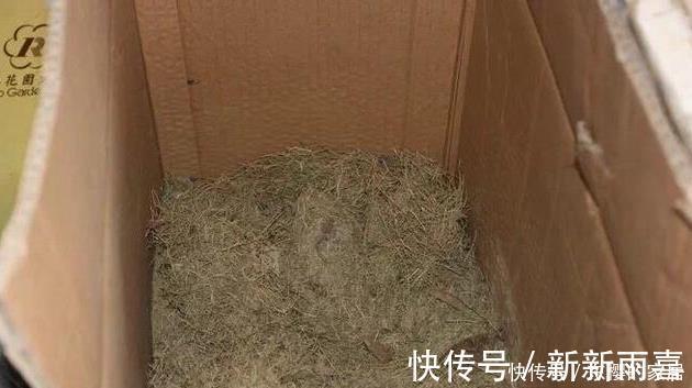 此些东西养花特别好，盆土一年不板结，花草长得旺、开的多又艳