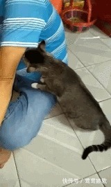 |搞笑GFI:这一看就是小情侣,要是老夫老妻的,男子早就怒了