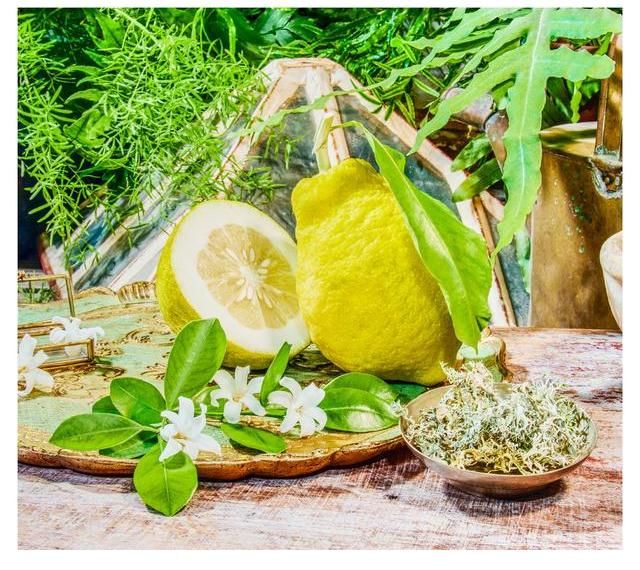 nbGucci炼金士花园1921香水，斯伯丁水晶碎片篮球丨是日美好事物