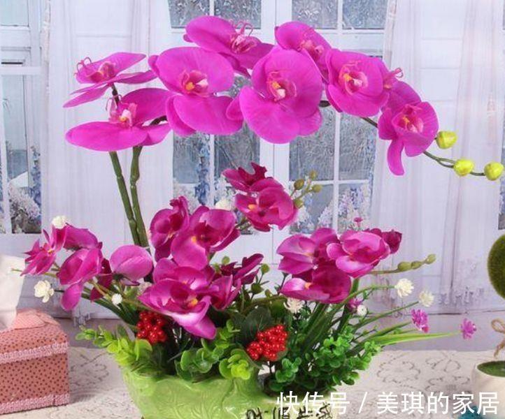 酸性土|农历7月25号起,最适合养这些花,绚丽多彩,烂漫迷人眼