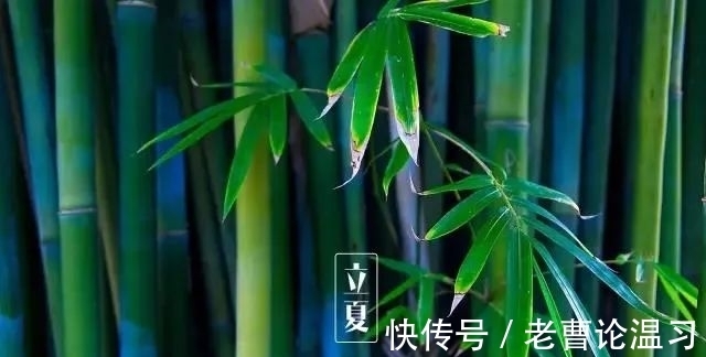 荷塘|临轩晓雨风杨柳，入画荷塘蝶恋花。立夏诗词二十首