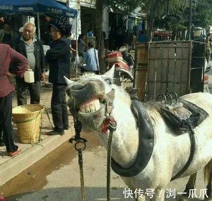 |搞笑GIF:姑娘的背包太个性,吓着我了!