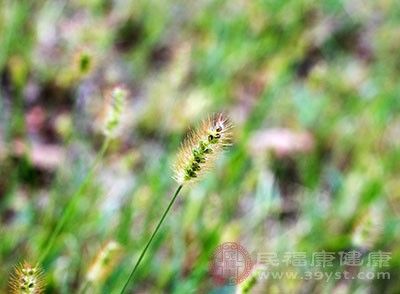 节气|雨水节气吃什么 多吃这五种食物让身体倍棒