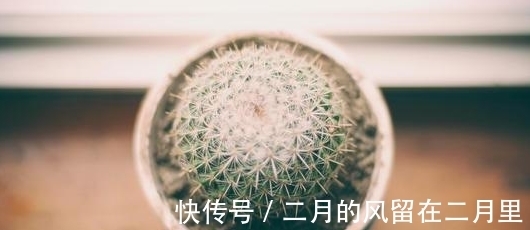 星座|不细腻，你不够了解，有几个星座总是用平静态度，掩饰缜密