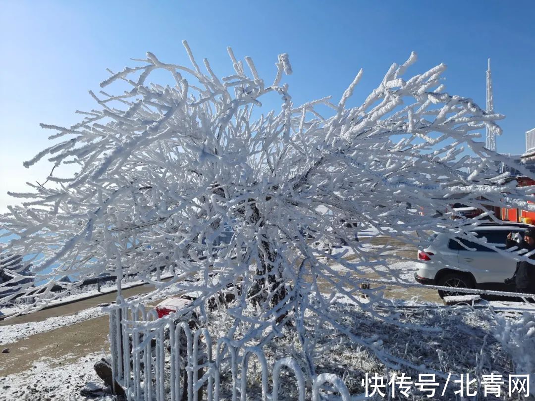 云海|太美了！台州最新雪景！括苍山跌至-10℃，再现云海奇观