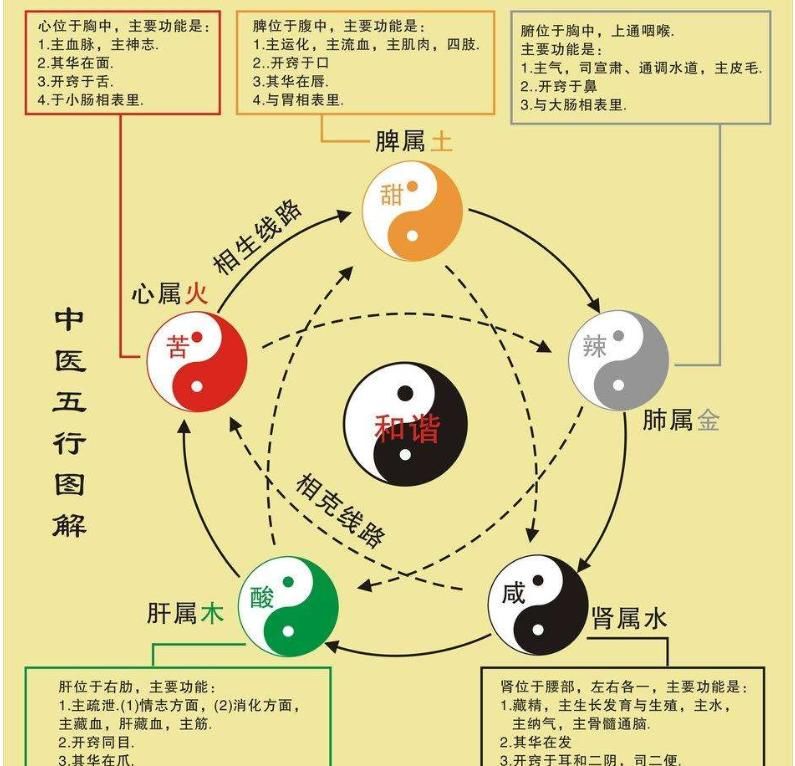  阳气|人到中年五脏有“火”如何去？有“火”不都是坏事，默默给你讲清