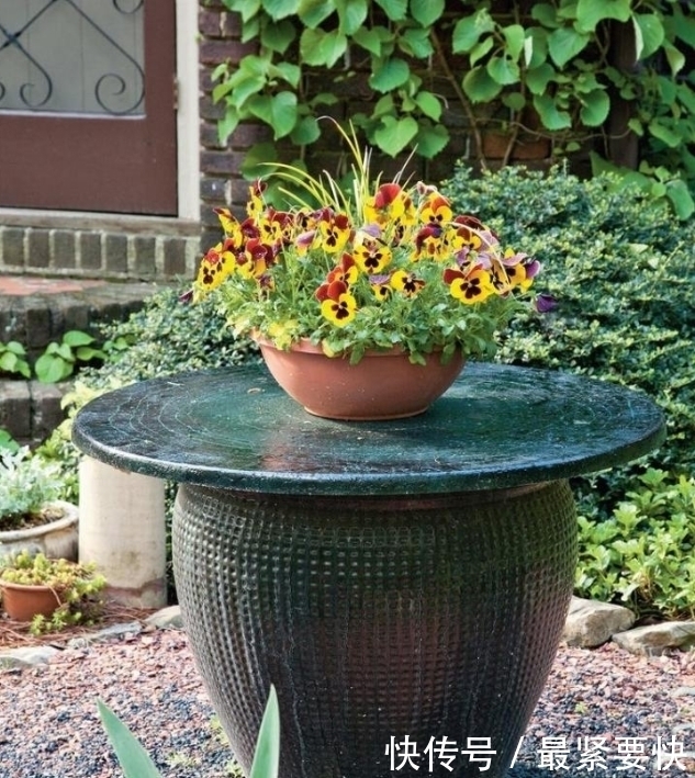 任何容器都能用来做花盆，请收好这30种美丽的花盆搭配设计