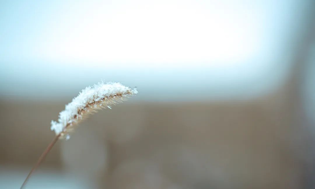 山泉煎茶有怀#诗词里的冬天,美得令人怦然心动