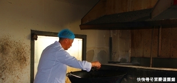 草药|俗语“筋长一寸,寿延十年”,农村这种野草,是老大夫的宝贝